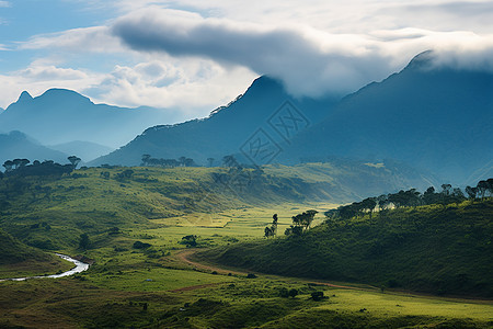 溪水流经的山谷背景图片