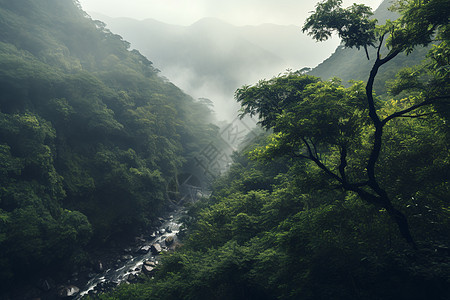 山林间一条河流图片