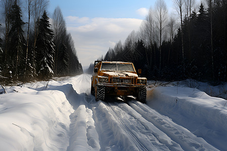 森林雪地中行驶的汽车图片