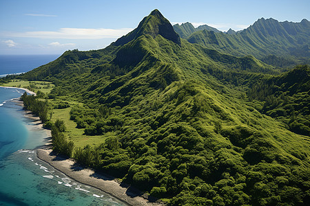 海滩边的绿色山峦图片