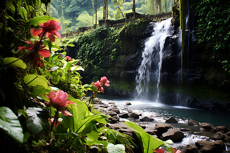 风景优美的热带丛林瀑布景观图片