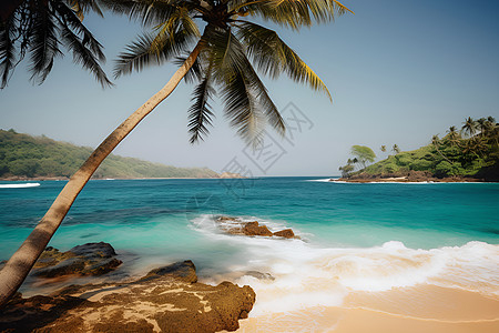 夏季海滩碧海蓝天下的棕榈树背景