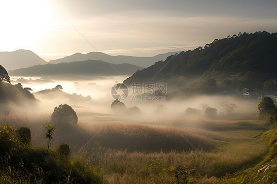 晨曦中的美丽风景图片