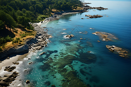 岛屿上的海岸线背景图片