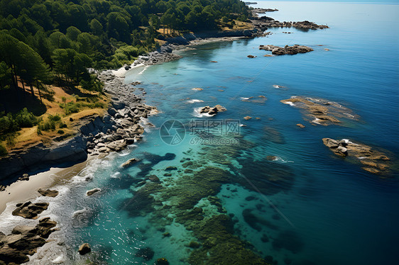 岛屿上的海岸线图片