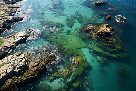 海岸线上的礁石背景图片