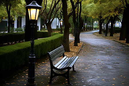宁静的秋季城市公园景观图片