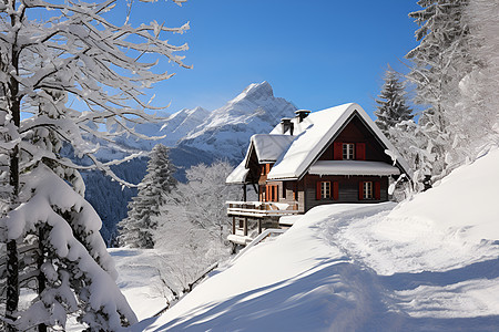 雪山林中的一座房屋图片