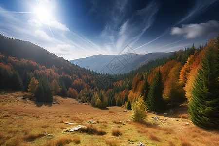 高山与树木图片