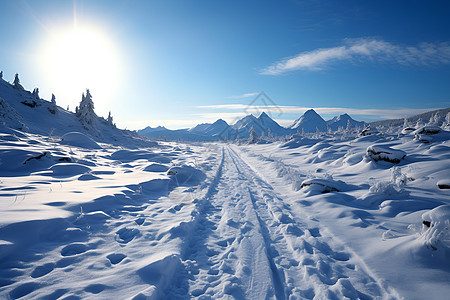 冬季白雪覆盖的山谷景观图片