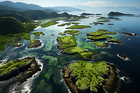 山水湾里的绿洲图片