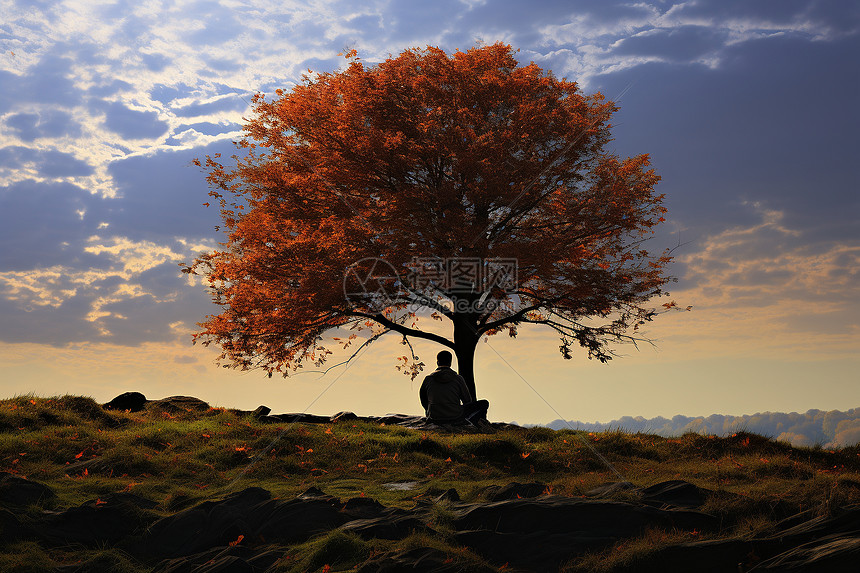 秋季坐在树下的男士图片