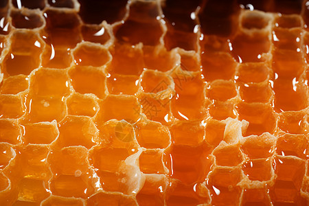 蜂巢中甜蜜的蜂蜜背景图片