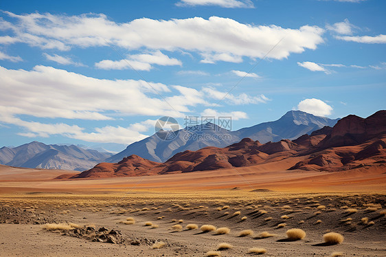 高原上的南美沙漠图片