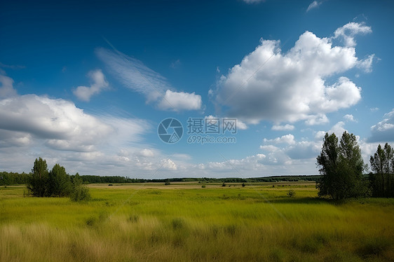 美丽的夏季田园风光图片