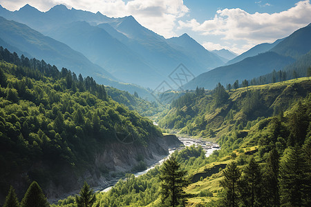 郁郁葱葱的山谷风景图片