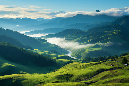 夏季山谷的美丽景观图片