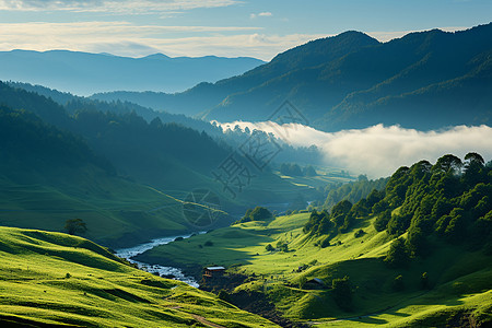 郁郁葱葱的山谷景观背景图片