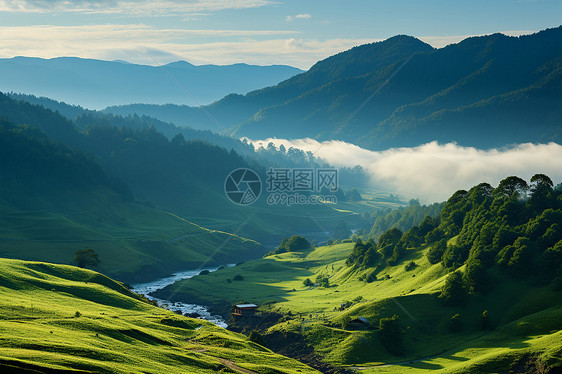 郁郁葱葱的山谷景观图片