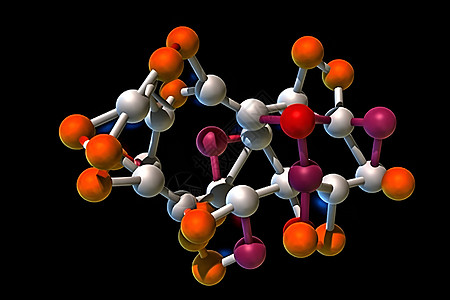 微生物细胞核糖酸概念图图片