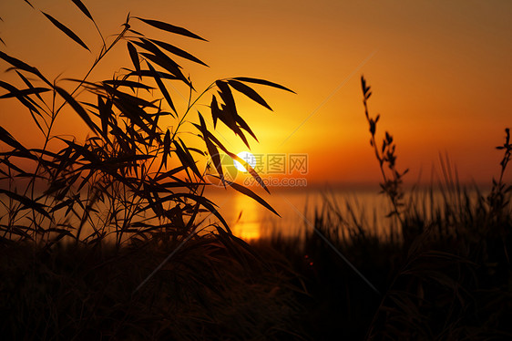 湖畔日落的美丽景观图片