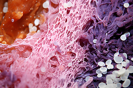 微观的生物组织图片