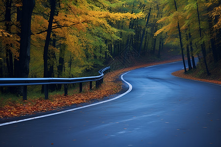 秋季丛林中的道路图片