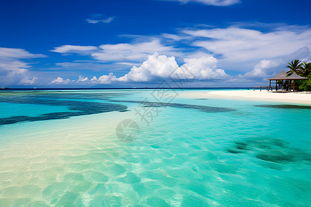 夏季热带度假海滩的美丽景观背景图片