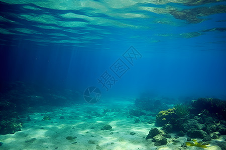 海底世界的自然之美图片