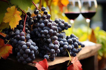 葡萄酒与葡萄背景图片