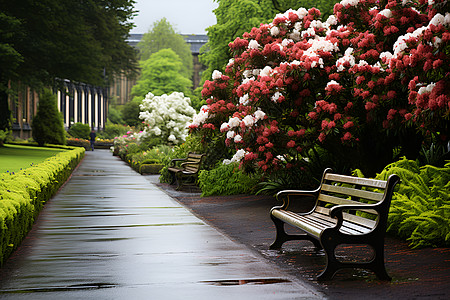 雨中的公园长椅图片