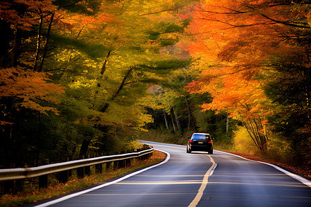秋天美景公路图片