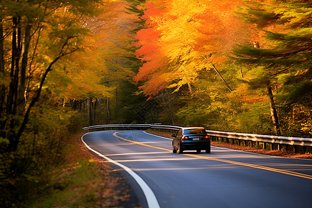 秋天的公路背景图片