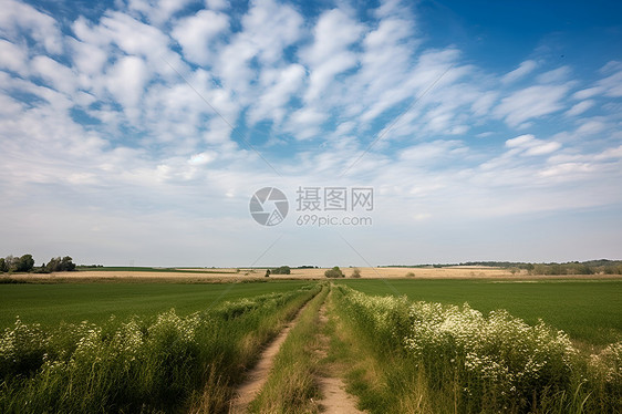 美丽的草原风景图片