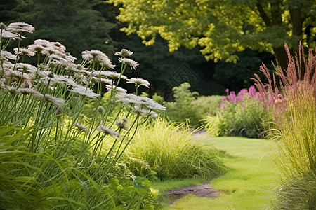 迷人草坪的花园美景图片