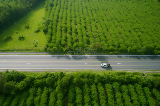 公路上的汽车图片