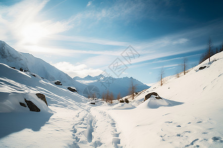 冬季白雪覆盖的山谷景观背景图片