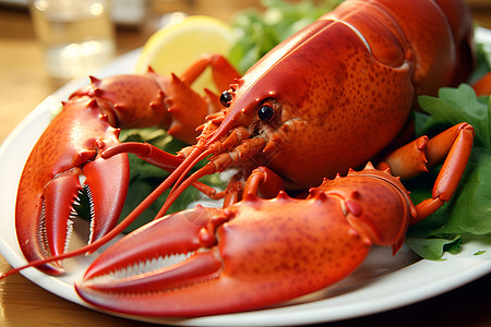 丰盛海鲜大餐的小龙虾背景图片