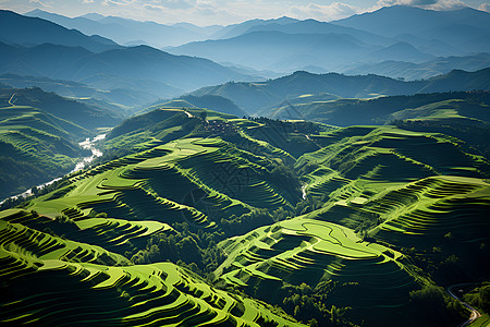 连绵山坡上的梯田图片