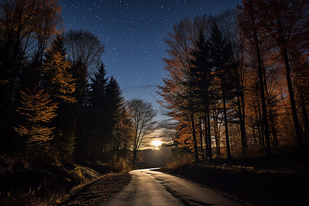 深秋夜晚的道路背景图片