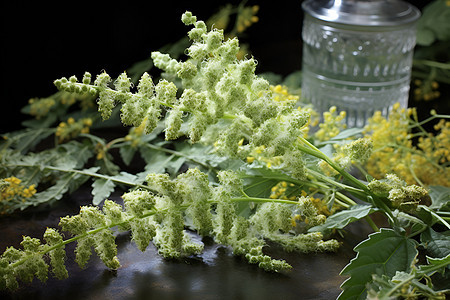 花朵和水杯的结合背景图片