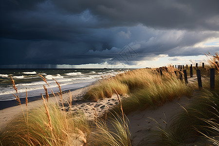 暴风雨中的海滩图片
