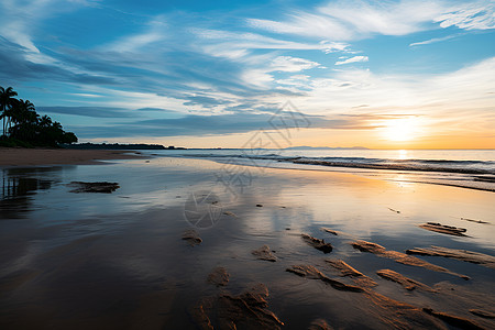 日出时分的沙滩图片