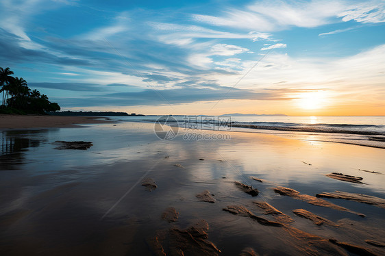 日出时分的沙滩图片