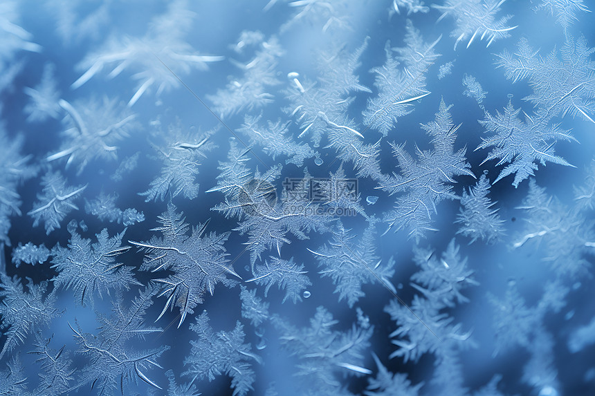 冬日窗户上的雪花图片