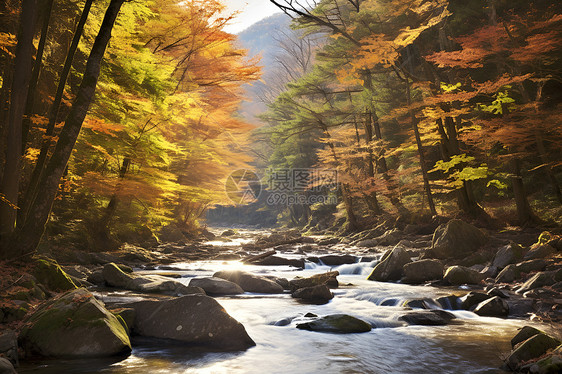 秋天山间流淌的溪流图片