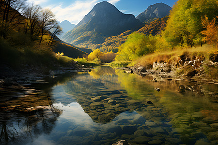 森林草地蓝天白云下的山水如画背景