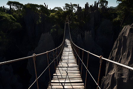 悬索桥穿越峡谷图片