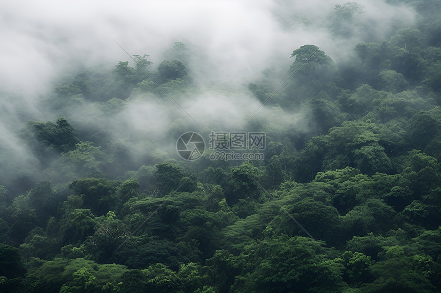 云雾缭绕中的山林图片