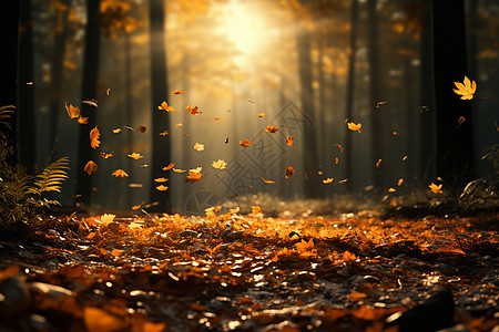 飘落的秋叶图片